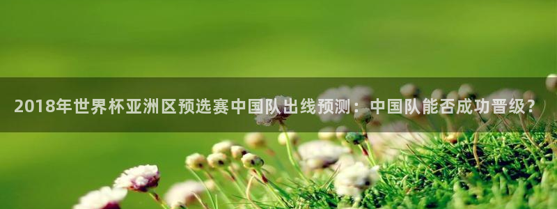 2026世界杯预选赛：2018年世界杯亚洲区预选赛中国队出线预测：中国队能否成功晋级？