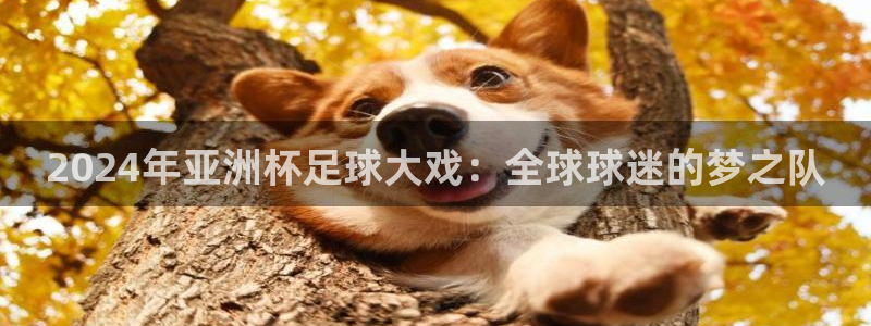世界杯球赛：2024年亚洲杯足球大戏：全球球迷的梦之队