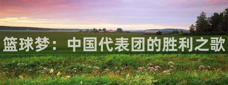 世界杯2026赛程表：篮球梦：中国代表团的胜利之歌