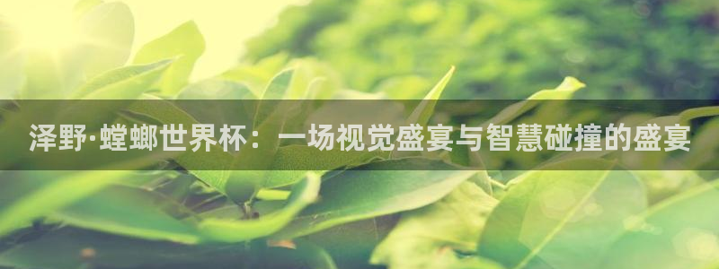 2026世界杯亚洲区预选赛：泽野·螳螂世界杯：一场视觉盛宴与智慧碰撞的盛宴