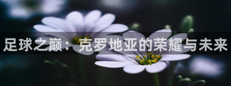 足球世界杯时间：足球之巅：克罗地亚的荣耀与未来