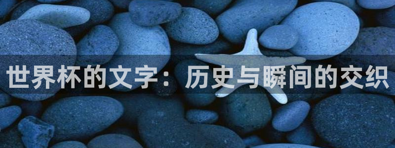 世界杯决赛圈球队：世界杯的文字：历史与瞬间的交织