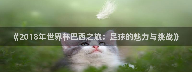 世界杯比赛：《2018年世界杯巴西之旅：足球的魅力与挑战》