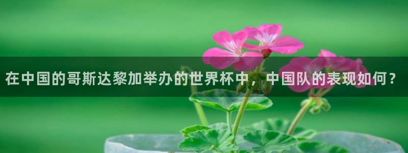 足球世界杯：在中国的哥斯达黎加举办的世界杯中，中国队的表现如何？