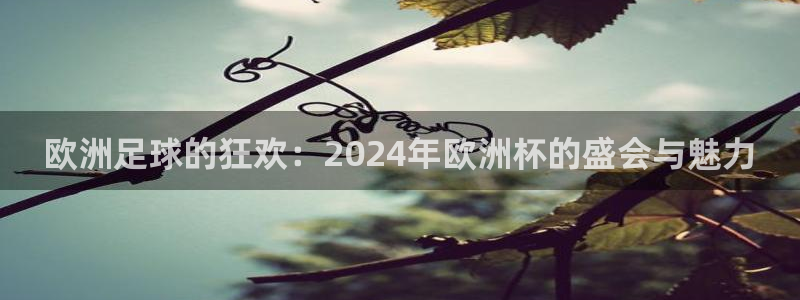世界杯欧洲区世预赛赛程：欧洲足球的狂欢：2024年欧洲杯的盛会与魅力